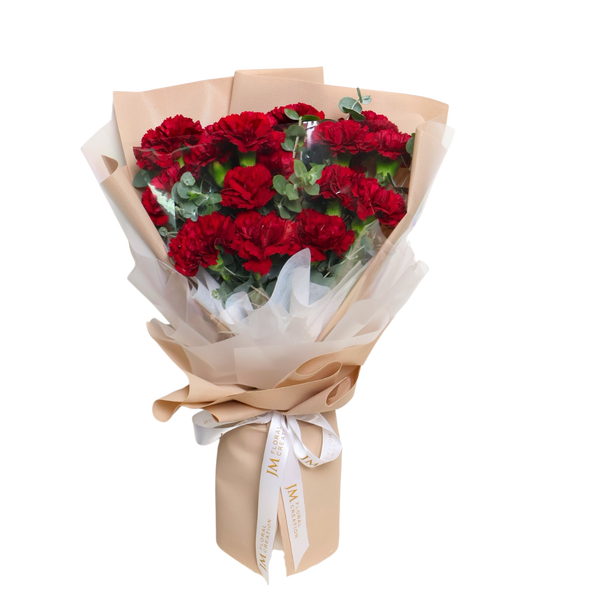 Mum's Joy (18 Carnations)