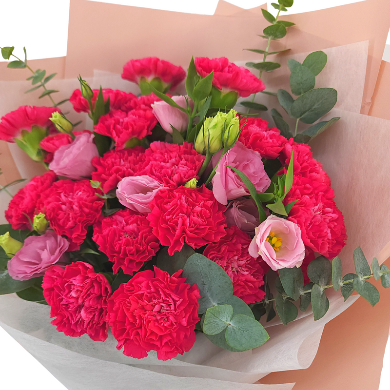 adella Carnations Birthday Flower Bouquet Singapore