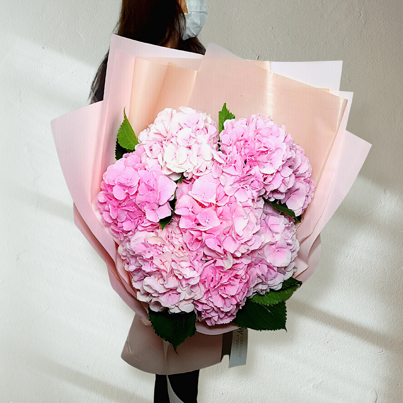 guadalupe Pink Hydrangeas Giant Bouquet Birthday Flower Bouquet Singapore