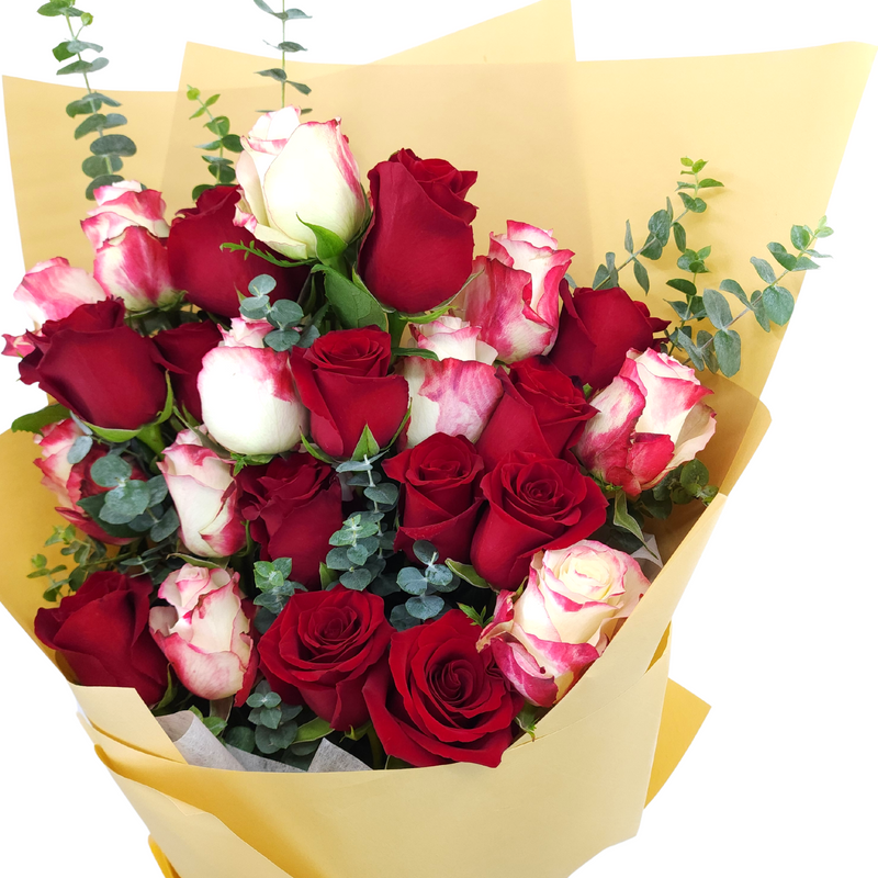 regina Red & Pink Premium Roses Giant Bouquet Birthday Flower Bouquet Singapore
