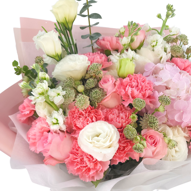 roseline Hydrangeas, Carnations and Roses Birthday Flower Bouquet Singapore