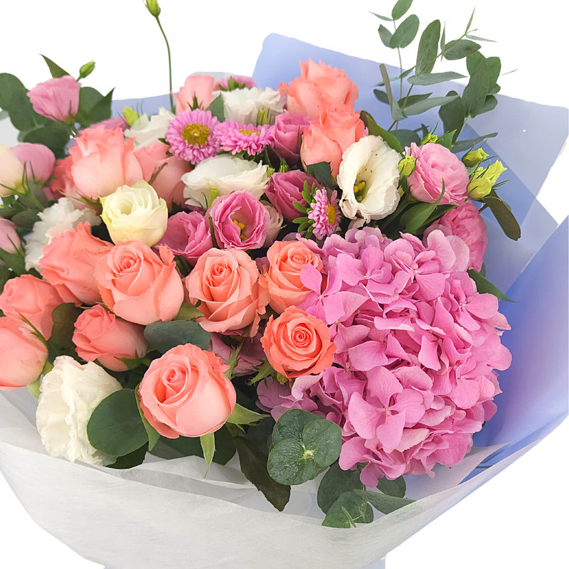 teresa Pink Roses & Hydrangea Bouquet Birthday Flower Bouquet Singapore